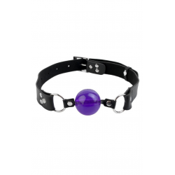 Новый акцент сексуальной игры - Кляп FF PENIS BALL GAG, цвет: фиолетовый