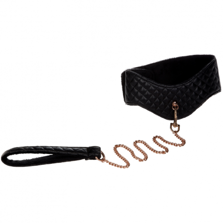 Posture Collar with Leash 