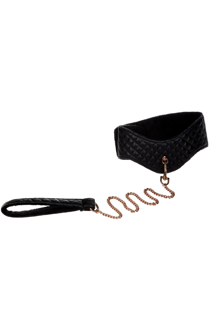 Posture Collar with Leash 