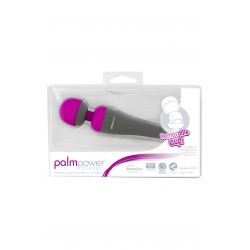 PalmPower Massager